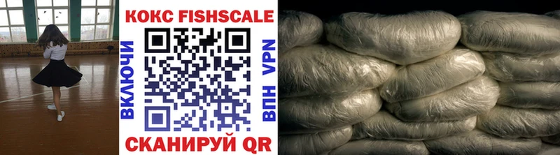 COCAIN Fish Scale  Купить где  Беслан 