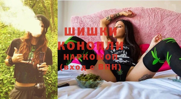 крисы Гусь-Хрустальный