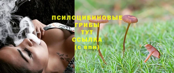 крисы Гусь-Хрустальный