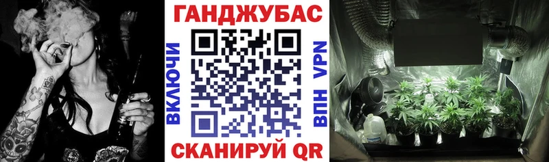 Купить где  Беслан  Конопля гибрид 